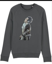 Load image into Gallery viewer, Harry Limited Edition Sweatshirt